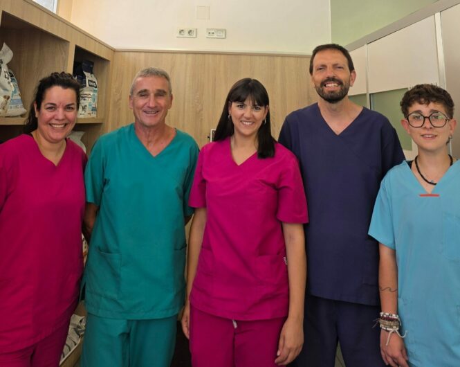Equipo